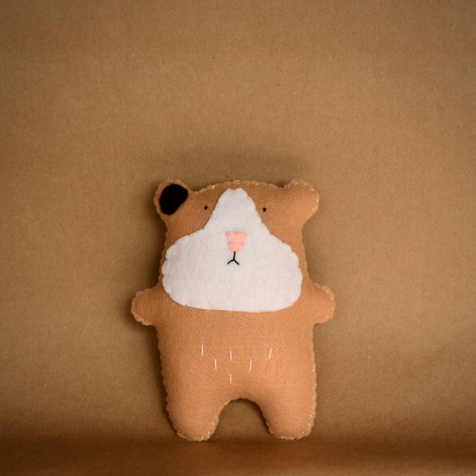 Lucia / Guinea Pig
